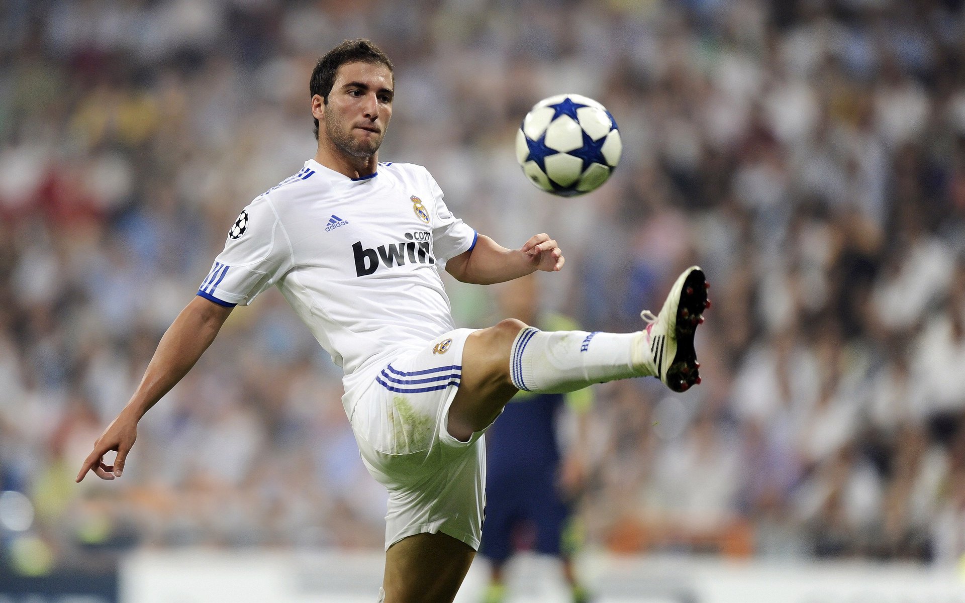 凯尔特人外线组合练习投篮手感逐渐升温，凯尔特人内线